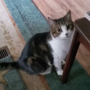 Meet your Posher, Debbie